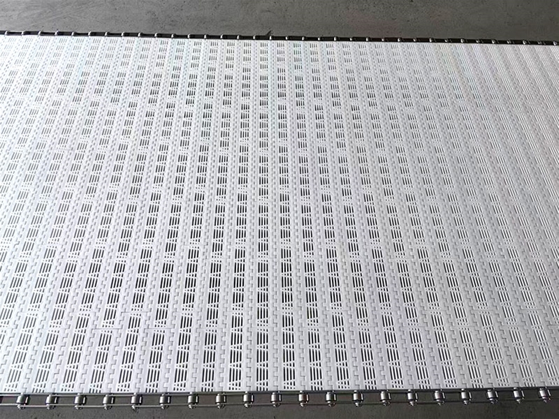 塑料清洗輸送帶