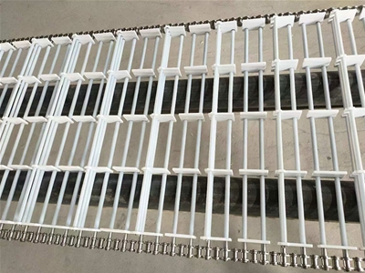特氟龍分排分塊輸送帶