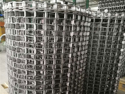 清洗機(jī)馬蹄鏈